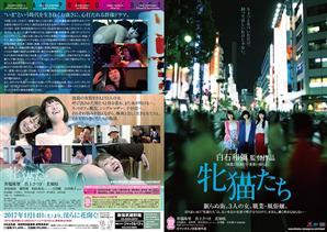 成人映画,ドラマ,ハイビジョン